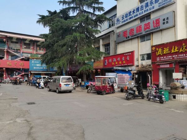 李村大街洛阳商业地产市场分析
